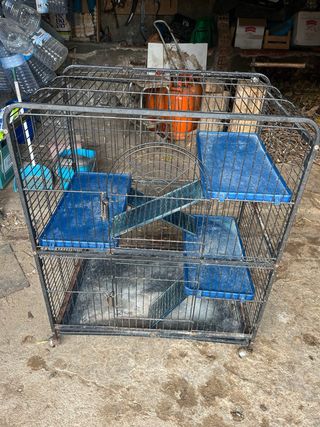 Jaula para hurones con accesorios