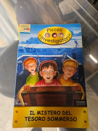 Il mistero del tesoro sommerso. Piccoli investi...