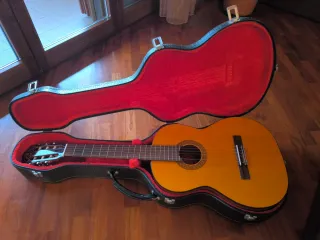 Chitarra classica con custodia rigida