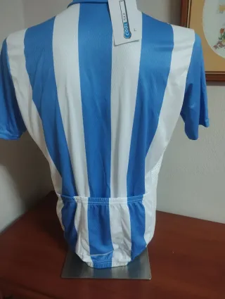 Maillot Ciclismo Rayas Azul y Blanco