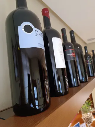 Botellas de vino grandes decorativas