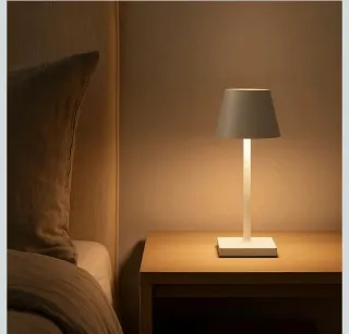 2 Lampade LED da tavolo ricaricabile