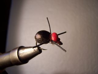 ESCARABAJOS PARA PESCA CON MOSCA