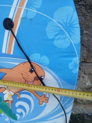 Bodyboard infantil con diseño de foca