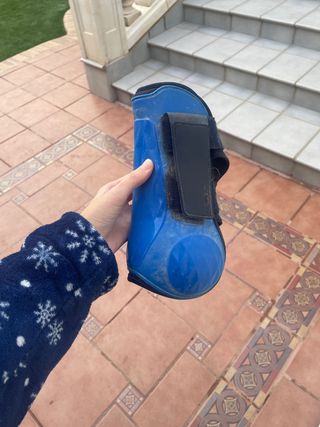 Protectores delanteros equitación azul