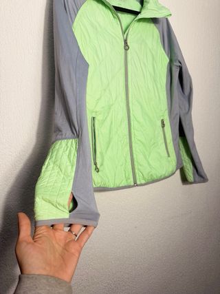 Chaqueta Calvin Klein Gris y Verde