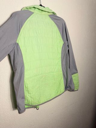 Chaqueta Calvin Klein Gris y Verde