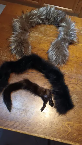 Colletti per giacche/cappotti