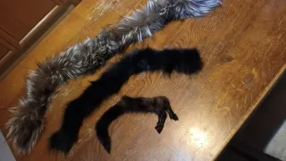 Colletti per giacche/cappotti