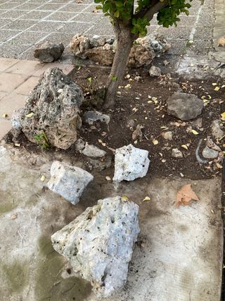 Rocalla grande y mediana decorativa