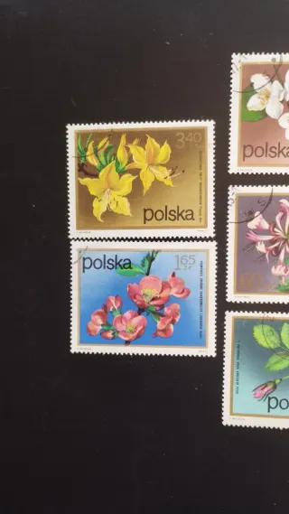 Sellos Polonia Flores - 1