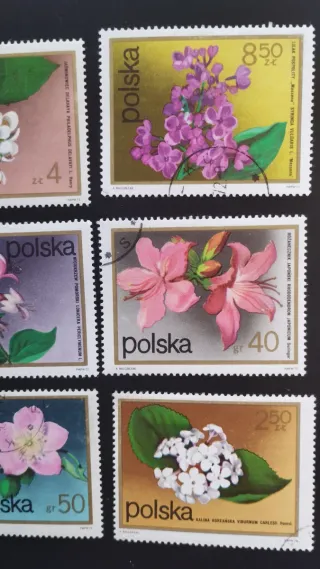 Sellos Polonia Flores - 1