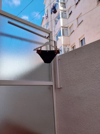 Bikini Negro y Estampado Animal