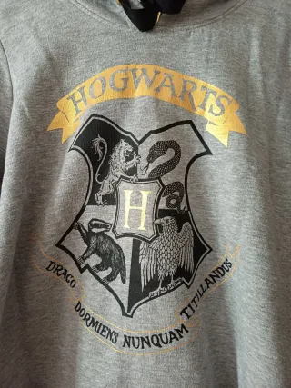 Sudadera Harry Potter