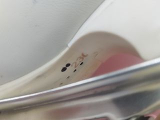 Pattini professionali Edea