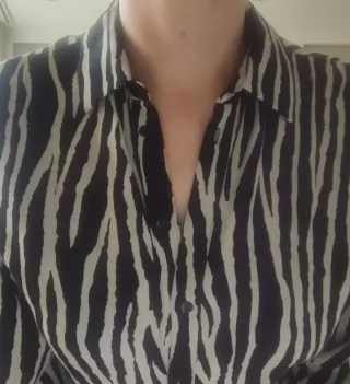 Camisa estampada cebra