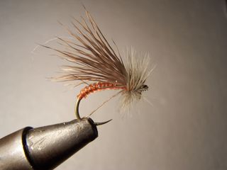 MOSCAS PARA LA PESCA DE BARBOS