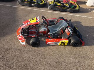 Kart BirelArt Rotax DD2