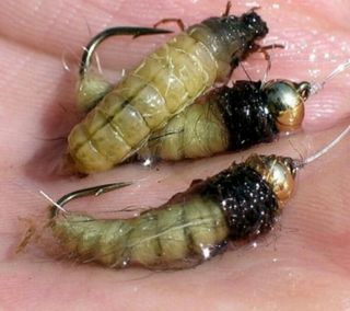 NINFAS PARA LA PESCA DE TRUCHAS