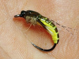 NINFAS PARA LA PESCA DE TRUCHAS