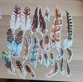 Lote scrapbooking plumas pájaros