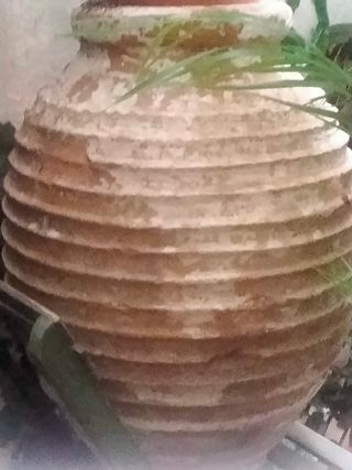 Ánfora Griega Antigua