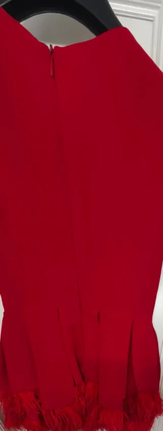 Vestido rojo con plumas