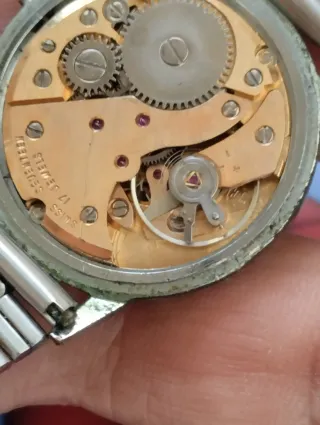 Reloj Festina Marrón y Plateado