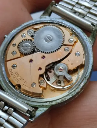 Reloj Festina Marrón y Plateado