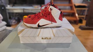Nike Lebron 12 Red Lion