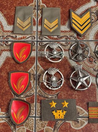 Distintivi Militari: Gradi, Fregi e rarità!!!
