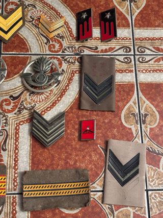 Distintivi Militari: Gradi, Fregi e rarità!!!