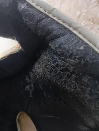 Casco Boxeo Top King