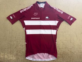 Denmark National Team Jersey