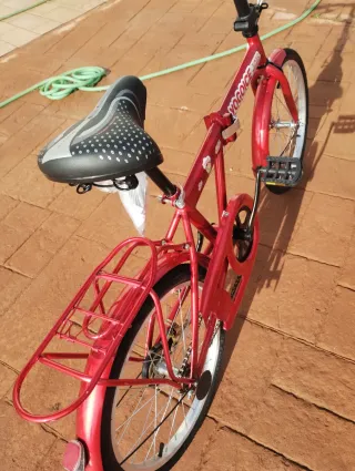 Bicicleta plegable