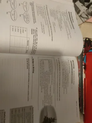 Bridges, 1º Bachillerato