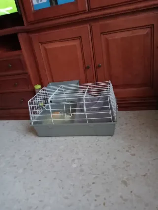 2 gabbie per coniglio/cavia