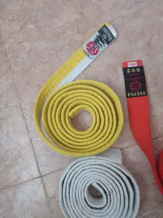 Cinture per arti marziali