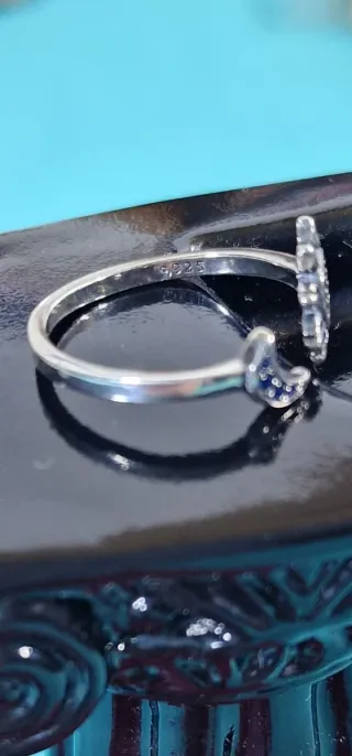 Noche y Día Plata 925 y Circonitas Brillantes