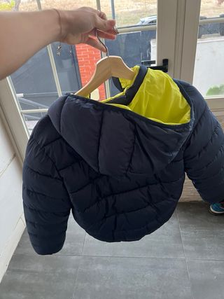 Plumas DMB azul y amarillo.