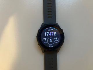 Garmin Forerunner 255
