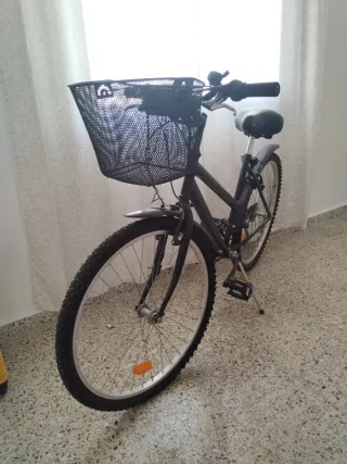 Bicicleta estilo vintage