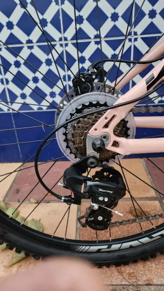 Bicicleta Megamo Color Rosa