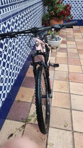 Bicicleta Megamo Color Rosa