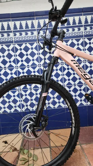 Bicicleta Megamo Color Rosa