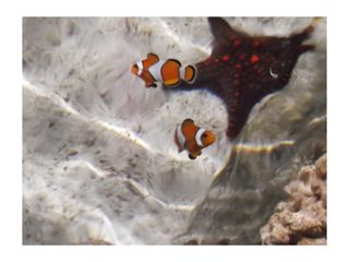 Cámara Fujifilm FinePix JV300