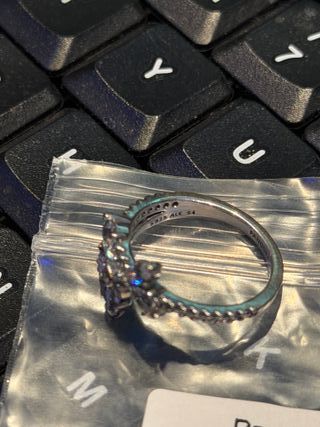 Anillo Pandora Racimo Herbario Plata