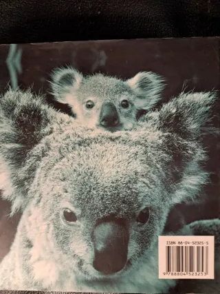 Oh mamma! Cuccioli & coccole