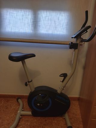 Bicicleta Estática Weslo Pursuit Upright