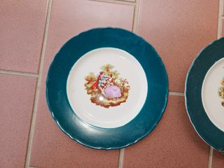 Coppia piatti decorativi inglesi